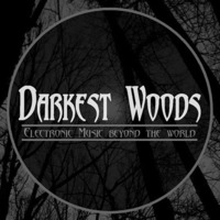 derART live @ Darkest Woods (Bytówko, Poland) (12.11.2016) by derART