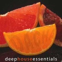 DJ Dacha - Live In Bona Fides NYC (Deep House Essentials) - 20017-01 by oldacha