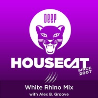 Deep House Cat Show - White Rhino Mix - with Alex B. Groove // incl. free Download by Deep House Cat Show