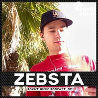 Pokut Music Podcast 011 // Zebsta by pokutmusic