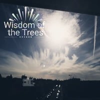 Wisdom of the Trees - Tomorrow Never Knows - Wisdom of the Trees & Nigel Boyd Robinson (The Beatles cover) single edit  by Will Elmore / Wisdom of the Trees / C-mor Clinic