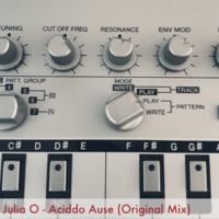 Aciddo Ause (Original Mix) by Julia O