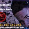 Soul Des jaguar