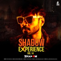 Shadow Experience Vol.14 - DJ Shadow Dubai by AIDC