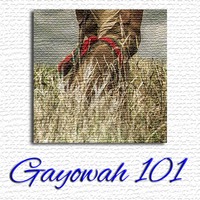 Gayowah 101 - Show #02 by Ohwęjagehká: Haˀdegaenáge: