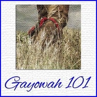 Gayowah 101 - Show #11 (All Pow-wow) by Ohwęjagehká: Haˀdegaenáge:
