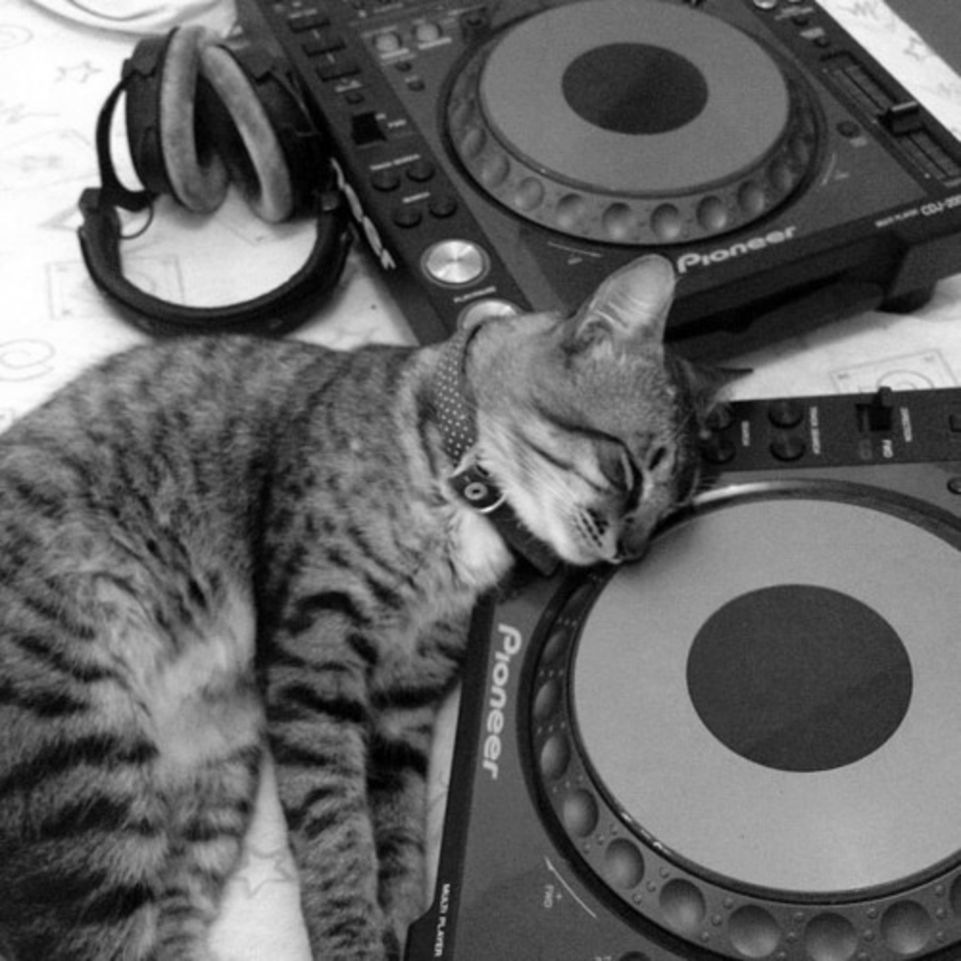 Renato Aguiar - Podcast