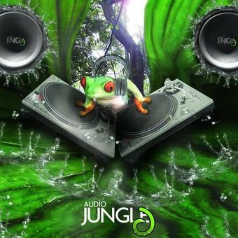 DjAudio Jungle