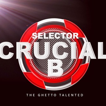 Selector Crucial B