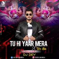 Tu Hi Yaar Mera x Tere Bin - SmashUp DJ DEV by DJ Dev