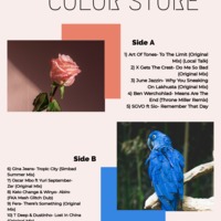 HR96 Sessions Presents ''COLOR STORE'' Mixed and Curated by DJ Bhudha by DJ_Bhudha