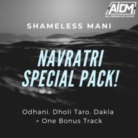 02 - Dholi Taaro Dhol Baaje (Remix) - Shameless Mani by AIDM
