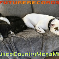 FutureRecords - JuliesCountryMegaMix by FutureRecords