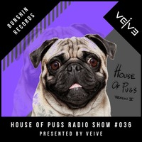 HOUSE OF PUGS #036 Veive presents Bunshin Records by Veive