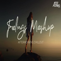 Feelings Mashup   Aftermorning Chillout by thisndj-official