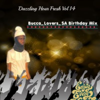 Dazzling Hour Fresh Vol14(Bucca_Loversa Birthday mix) by Remy Da Deejay