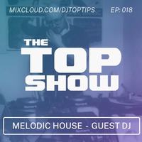 Melodic House - GUEST DJ AlienBeardVibes -  The Top Show - E18 by Alienbeardvibes