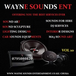 Listen to Music Festivals music and sounds