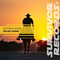 Electrikal Sound - Killer Acid (Original Mix) Coming soon on Survivor Records by Survivor y Creación Musical