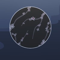 Snitch by Candlebrae