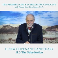 11.3 The Substitution - NEW COVENANT SANCTUARY | Pastor Kurt Piesslinger, M.A. by FulfilledDesire