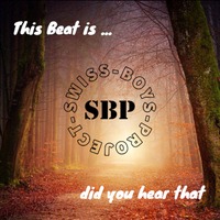 Swiss-Boys-Project - This Beat Is ...  Did You Hear That by SimBru / Swiss Boys Project / M-System