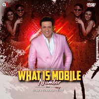 What Is Mobile Number - Remix - DJ AK X DJ Akash Tejas by DJ AK