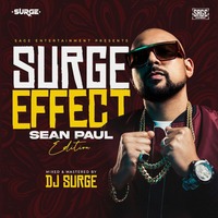 THE SURGE EFFECT (sean paul edition) by Deejay surge