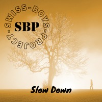 Swiss-Boys-Project - Slow Down by SimBru / Swiss Boys Project / M-System