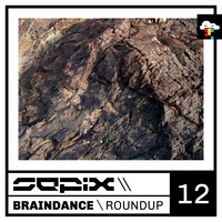 Braindance Roundup Twelve by Sepix