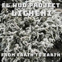 From Earth To Earth by El Wud