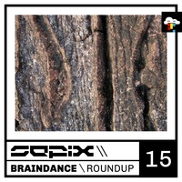 Braindance Roundup Fifteen by Sepix