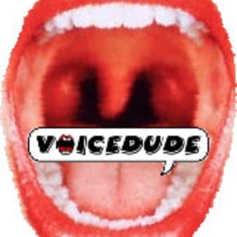 Voicedude