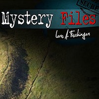 Zufallsfund: Archäologische Fundgrube und unbekanntes Hügelgrab der Steinzeit auf Sylt entdeckt by NuoFlix