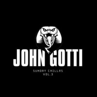 John Gotti-Birthday Mix Vol 1 by john gotti