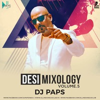 Desi Mixology Vol.5 - DJ PAPS