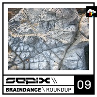 Braindance Roundup Nine by Sepix