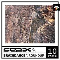 Braindance Roundup Ten (Part 2) by Sepix