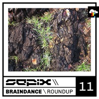 Braindance Roundup Eleven by Sepix