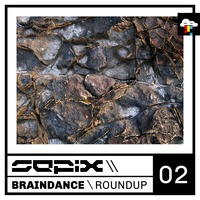 Braindance Roundup Two by Sepix