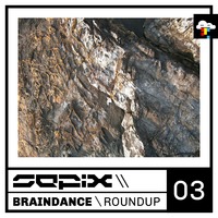 Braindance Roundup Three by Sepix