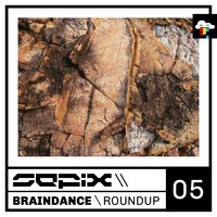Braindance Roundup Five by Sepix