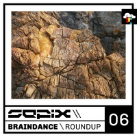 Braindance Roundup Six by Sepix