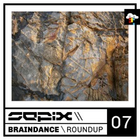 Braindance Roundup Seven by Sepix