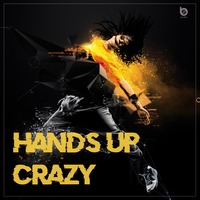 Hands Up Crazy Vol.17-26