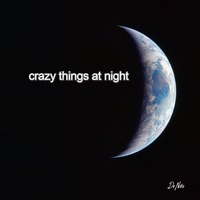 Crazy Things At Night by DeNito