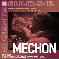 DJMechon - Pitbull Globalization Set 03.06.22 by djMechon