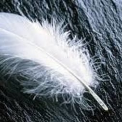 Listen to Trance music and sounds