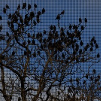 Synthetic Birds v3 by Michu-Pichu