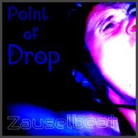 Point of Drop by Zauselbeat
